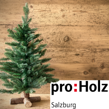 PROHOLZ Kaestchen2