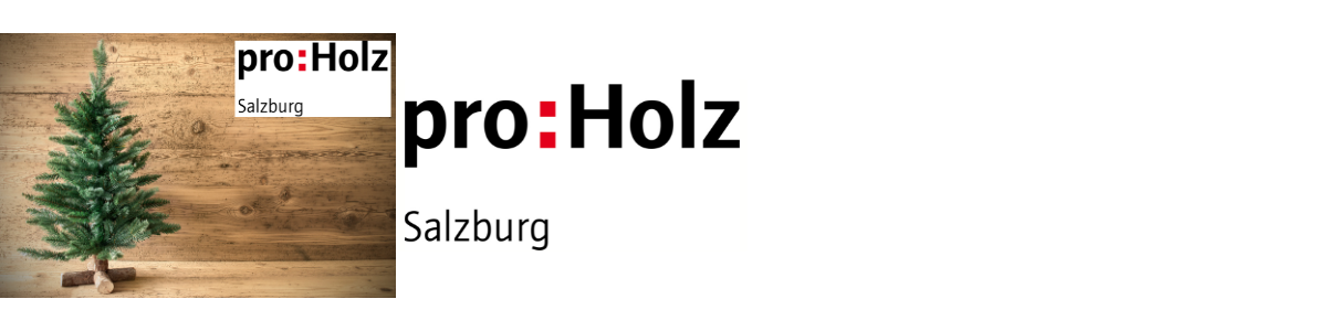 PROHOLZ FOOTER